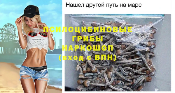apvp Бронницы