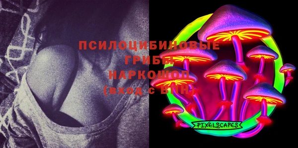 mix Бородино