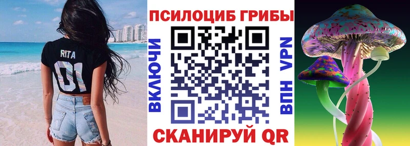 Псилоцибиновые грибы мицелий  где купить наркоту  Гатчина 