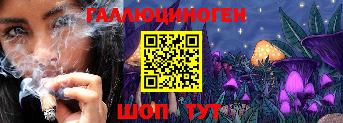 Псилоцибиновые грибы GOLDEN TEACHER Гатчина